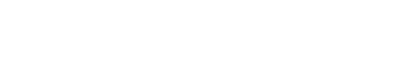 BrainFutures Logo - White-2