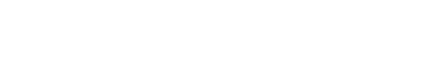 BrainFutures Logo - White-2