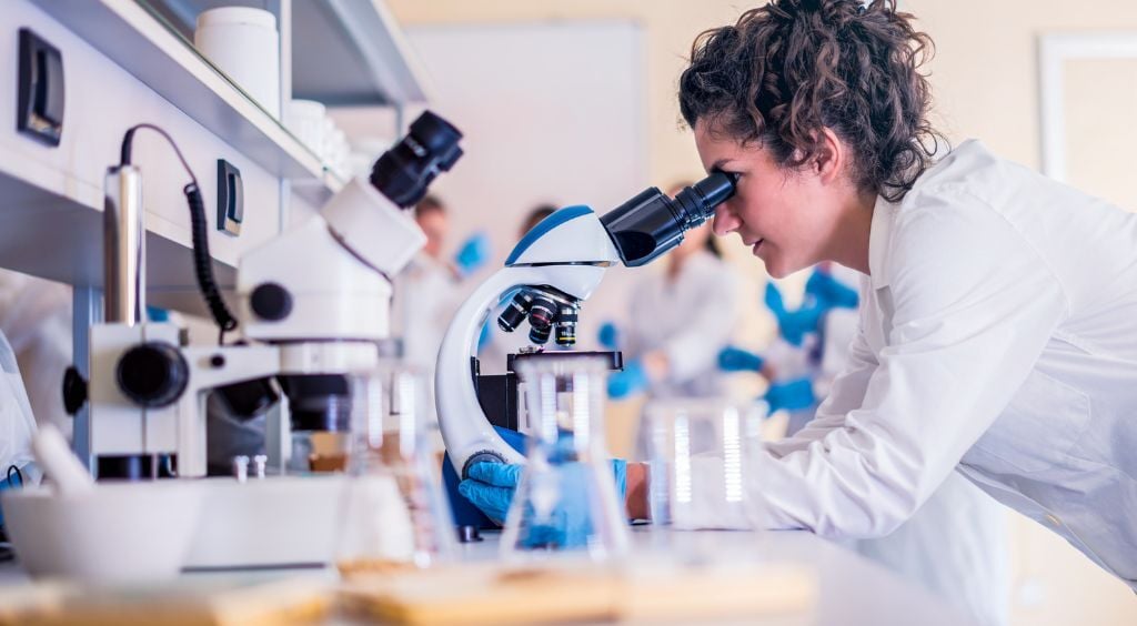 Researcher